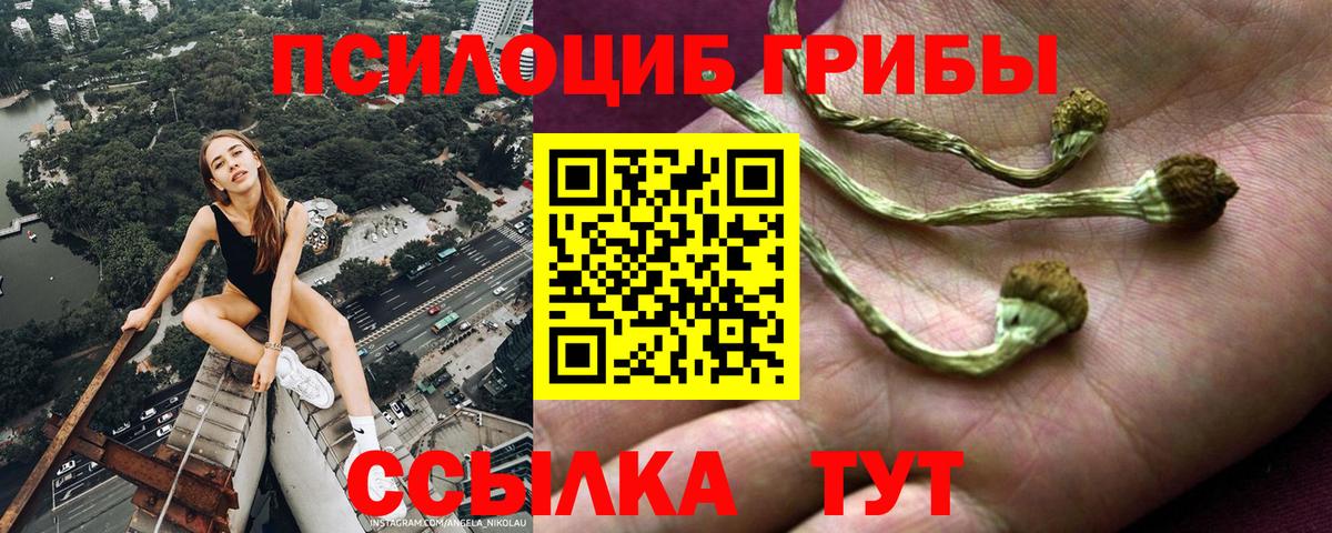 Галлюциногенные грибы Cubensis Ишим