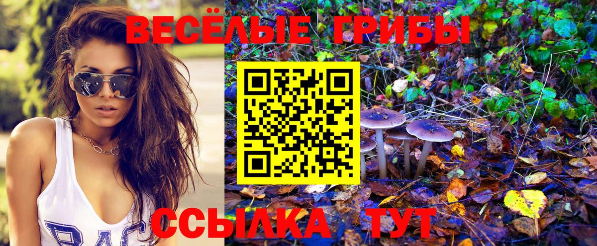 Псилоцибиновые грибы мицелий  Вход с VPN  Ишим  Псилоцибиновые грибы MAGIC MUSHROOMS 
